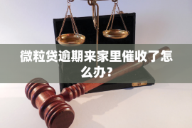 通江融资清欠服务